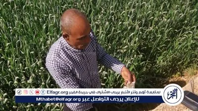 متابعة ميدانية مكثفة لحملة مكافحة القوارض لحماية محصول القمح بالفيوم 