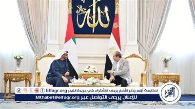 عاجل| الرئاسة تكشف تفاصيل لقاء الرئيس السيسي ونظيره الإماراتي