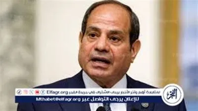 عاجل- الرئيس السيسي يؤكد انفتاح مصر لتلقي المزيد من الاستثمارات الإماراتية