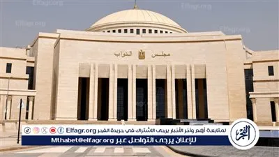 تعرف على أهداف مشروع قانون سجل المستوردين وموعد التصويت النهائي