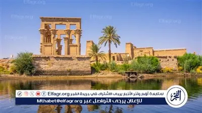 غرفة السياحة: نسب الإشغال بالفنادق الثابتة والعائمة بأسوان وصلت إلى 98% 