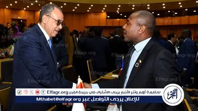 وزير الخارجية يعقد لقاءات مكثفة لتعزيز الشراكات مع 8 دول أفريقية