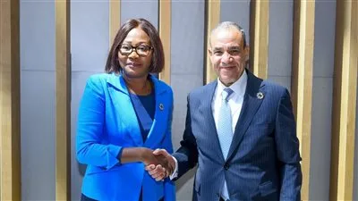 وزير الخارجية يلتقي وزيرة خارجية جمهورية إفريقيا الوسطى