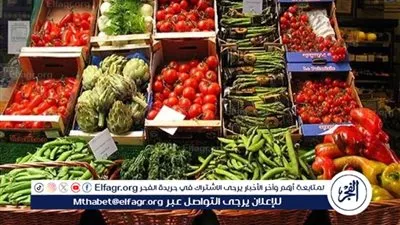 ارتفاع الطماطم.... اسعار الخضروات اليوم السبت 14فبراير 2026 فى اسواق المنيا 