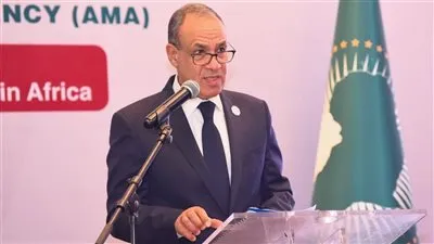 وزير الخارجية يطرح رؤية مصر الشاملة لتعزيز التصنيع الدوائي والأمن الصحي في إفريقيا