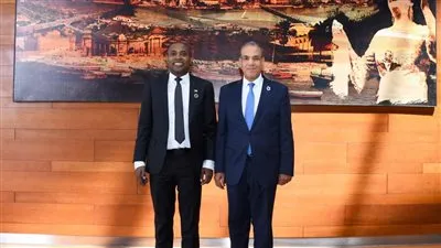 وزير الخارجية يلتقي رئيس جمهورية إفريقيا الوسطى ورئيس وزراء الكاميرون على هامش القمة الأفريقية