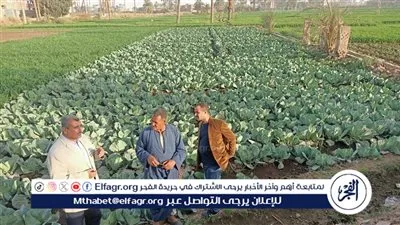 محافظ أسيوط يوجه بمتابعة الزراعات بالقرى والنجوع 