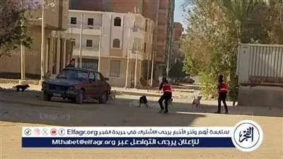 بيطري قنا ينجح في تحصين وتعقيم 96 كلبًا ضالًا بعدد من مراكز المحافظة