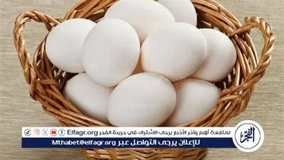 اسعار البيض الأبيض والأحمر والبلدى اليوم الإثنين 16فبراير 2026 فى اسواق ومحال المنيا 