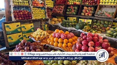 أسعار الفاكهة اليوم الثلاثاء 17-2-2026 في الأقصر