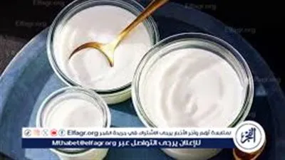 خليه على الفطار والسحور.. الزبادي يحسن صحة الأمعاء ويقلل الكوليسترول الضار