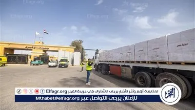 عاجل- 780 طن مساعدات غذائية تدخل غزة قبل رمضان ضمن قافلة إنسانية مشتركة بين صندوق تحيا مصر وبيت الزكاة والصدقات
