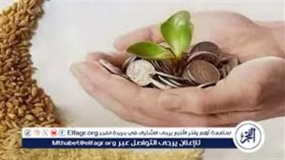 تعرف على الفرق بين زكاة الفطر وزكاة المال والصدقة