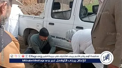 تحصين 30 كلبًا ضد السعار في الغربية «صور»