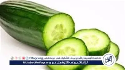 «خيار السحور».. مفيد أم سبب للعطش والانتفاخ؟ نصائح الخبراء لصيام مريح