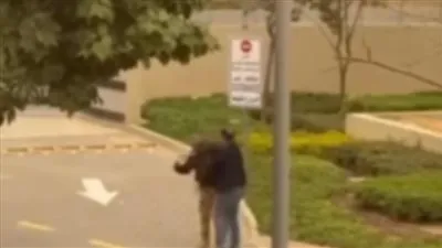 ضبط أحد الأشخاص حال تعديه على فرد أمن إدارى بأحد المجمعات السكنية بالقاهرة الجديدة