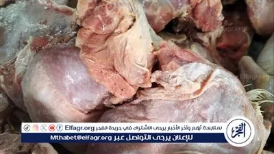 محافظ أسيوط: تحرير 306 محضر وضبط لحوم وسلع غير صالحة للاستهلاك الآدمي 