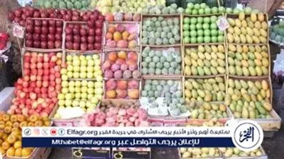 أسعار الفاكهة اليوم الاثنين 23-2-2026 في الأقصر