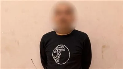 الأمن يكشف ملابسات فيديو اعتداء على سيدة بالخصوص ويضبط المتهم