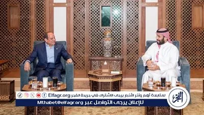 عاجل ـ السيسي ومحمد بن سلمان يؤكدان قوة العلاقات المصرية السعودية ورفض تهجير الفلسطينيين خلال لقاء جدة