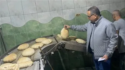 محافظ الدقهلية: ضبط 1128 شيكارة دقيق مدعم.. وتحرير 263 مخالفة