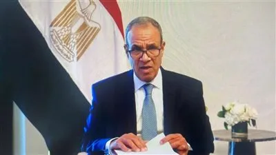 في مستهل عضوية مصر بمجلس حقوق الإنسان... وزير الخارجية يلقى كلمة مصر أمام الدورة ٦١ للمجلس
