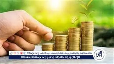 زكاة المال.. النسبة الشرعية والمصارف المحددة وفق دار الإفتاء