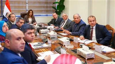 وزيرة التنمية المحلية والبيئة تتابع مع رئيسي جهازي شئون البيئة وتنظيم إدارة المخلفات وعدد من قيادات الوزارة 