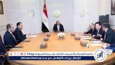 عاجل- الرئيس السيسي يستقبل رئيس مجلس إدارة GCL الصينية لتعزيز التعاون في الطاقة المتجددة