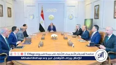 الرئيس السيسي: مصر تولي اهتمامًا كبيرًا بتوطين التكنولوجيا وتعزيز الاستثمار في الطاقة المتجددة