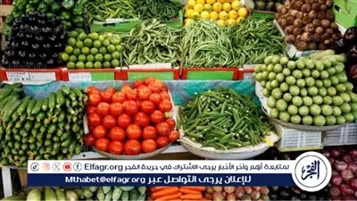 اسعار الخضروات اليوم الجمعه 27 فبراير 2026 فى اسواق المنيا 