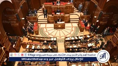 6 مهام للجنة الشباب والرياضة بمجلس الشيوخ.. تعرف عليها