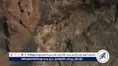 صور.. العثور على 