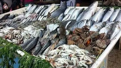 ارتفاع البربون والمرمار.. واستقرار البلطي والبوري في أسواق الإسكندرية