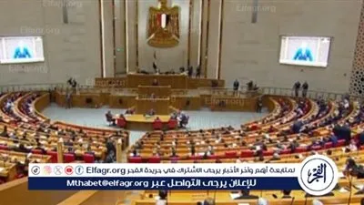 بعد إقرار مجلس النواب.. ننشر أهداف تعديلات قانون سجل المستوردين