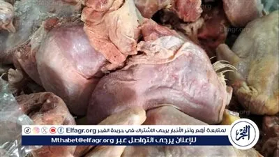 تحرير 2350 محضرًا تموينيًا خلال شهر فى أسيوط 