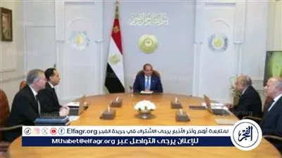 الرئيس السيسي: أهمية قصوى للحفاظ على أرصدة استراتيجية من المنتجات البترولية