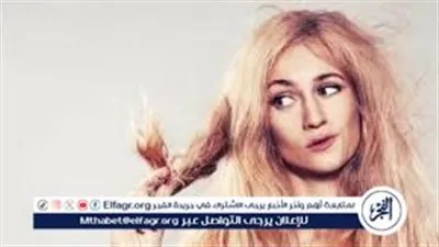 حلول طبيعية لعلاج هيشان الشعر الجاف.. وصفات سهلة تعيد النعومة واللمعان بأقل التكاليف