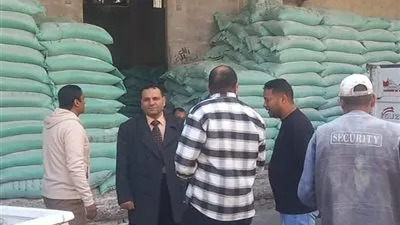 تموين الإسكندرية يحرر 44 محضرًا خلال حملات رقابية مكثفة بالعجمي والعامرية