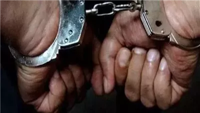 كشف ملابسات فيديو تعدٍ على سائق بالدقهلية.. وضبط المتهم