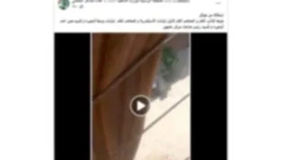 كشف ملابسات تضرر أحد الأشخاص من آخر لقيامه بممارسة أعمال البلطجة بالبحيرة