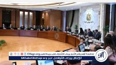 عاجل- مدبولي يتابع توفير الاعتمادات المالية لتأمين احتياجات مصر من المواد البترولية