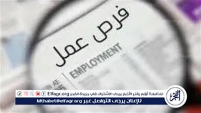 وظائف خالية في مصر 2026.. وزارة العمل تعلن 105 فرص لأفراد أمن برواتب تصل إلى 9000 جنيه