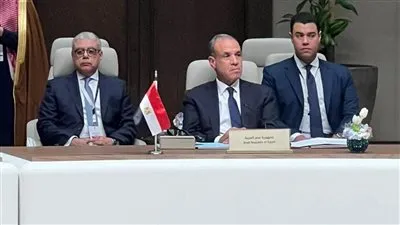وزير الخارجية يشارك في الاجتماع الوزاري التشاوري بالرياض ويدين الاعتداءات الإيرانية الآثمة ويؤكد تضامن مصر الكامل مع دول الخليج الشقيقة