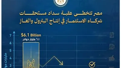 عاجل..وزارة البترول تعلن عن إنجاز هام لتخفيف الطلب علي الدولار
