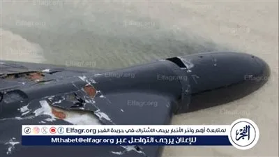 الجيش الإيراني يسقط طائرة مسيّرة أمريكية جنوب شرق البلاد