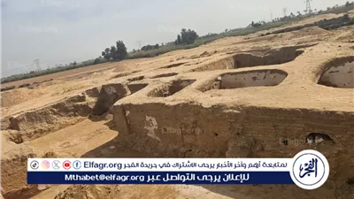  خبير يكشف تفاصيل الكشف الأثري في منطقة 