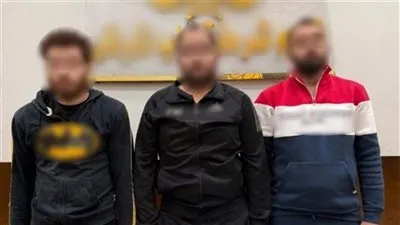 الشرطة تكشف ملابسات فيديو احتجاز نجلي سيدة بالإسكندرية