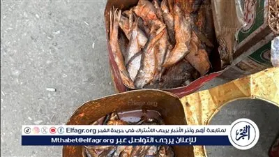 ضبط 250 كيلوجرام أسماك مملحة فاسدة وإزالة 13 حالة تعدي في أسيوط 