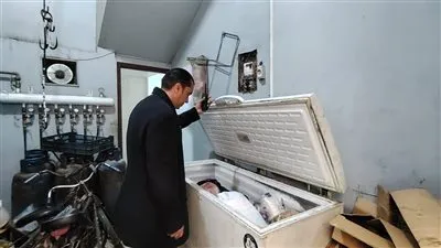 في ضربة إستباقية محافظ المنوفية: ضبط مايزيد عن نصف طن لحوم ودواجن غير صالحة للاستهلاك الآدمي